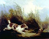 Spaniel Flushing Mallard by George Armfield